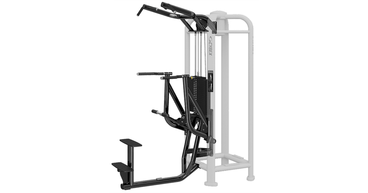 Cybex assisted chin up dip machine new arrivals