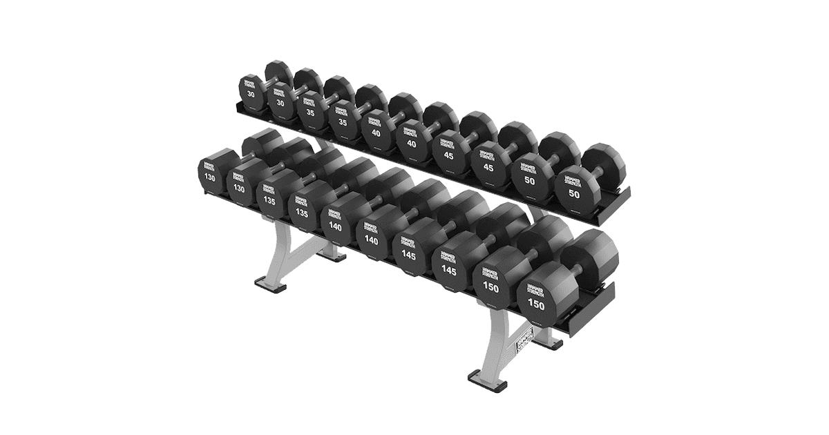 Life fitness dumbell discount rack