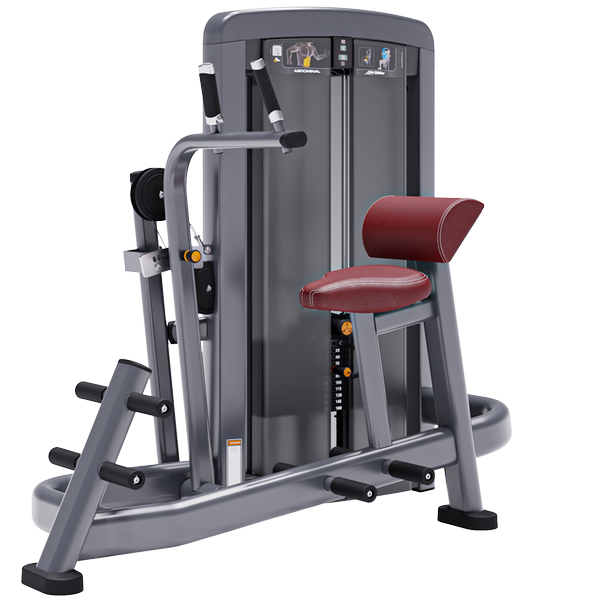 Insignia Series Abdominal Advanced Life Fitness